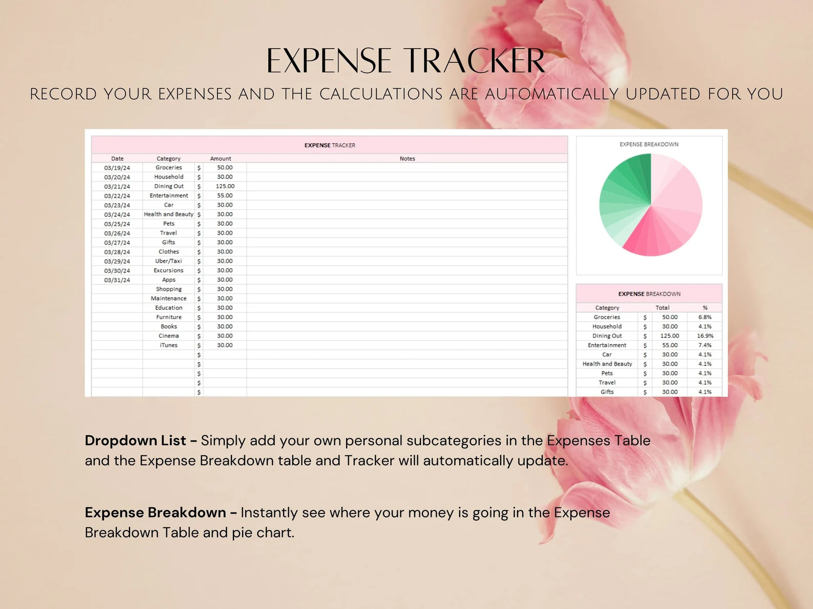 Easy Budgeting Google Sheets and Excel Template, Weekly BiWeekly Budget Summary Personal Finances, Monthly Beginner Income Expense Tracker